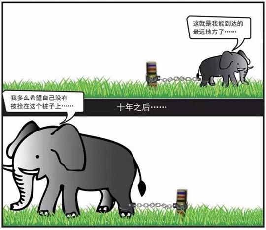 最残忍的教育，是让孩子永远活在“身后没人”的恐惧里