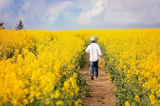 毁掉一个孩子，就是管他、使劲管他…（每个父母都该看看）