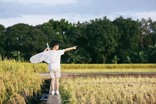 毁掉一个孩子，就是管他、使劲管他…（每个父母都该看看）