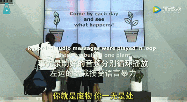 别用“垃圾语言”养孩子：你可能每天都在做，孩子会变得……