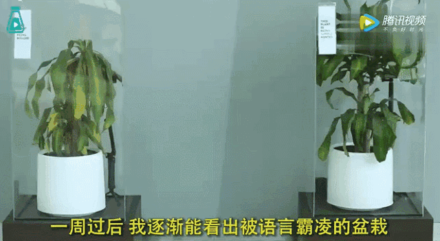 别用“垃圾语言”养孩子：你可能每天都在做，孩子会变得……