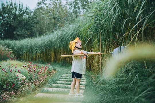 别总抱怨孩子成绩差，真正的根源在这儿