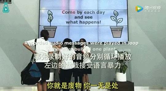 如果你的孩子只考了12分，你会怎么做？看懂的父母都会改变