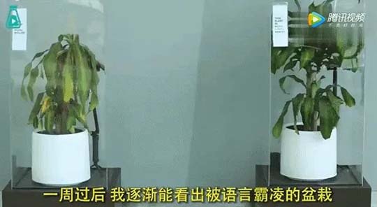 如果你的孩子只考了12分，你会怎么做？看懂的父母都会改变