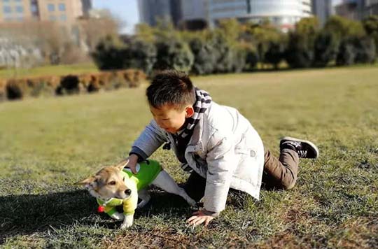 北大教授揭开教育真相：孩子不贪玩，比不爱读书更可