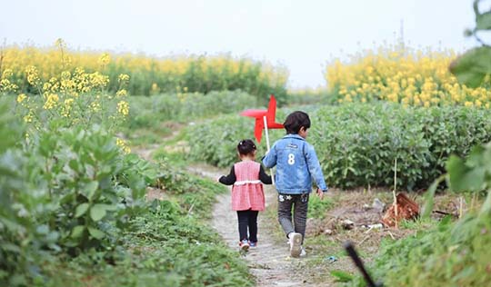 真正的“放养教育”：放的是思维，养的是习惯