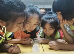 小小实验课 大大梦想家 | 晋小鹰科学实验课，一键开启科学之旅！