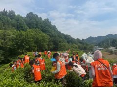 读万卷书，行万里路｜涡阳晋级托管第十五期野外大课堂圆满结束